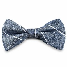 줄무늬나비넥타이