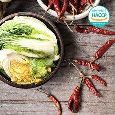 [무료배송]전남도지사가 인정한 HACCP 산지 직송 해남 절임배추 20kg, 12월14일 도착일, 1박스