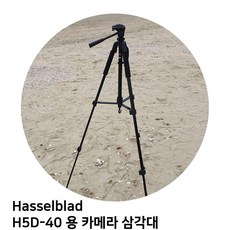 핫셀블라드907x