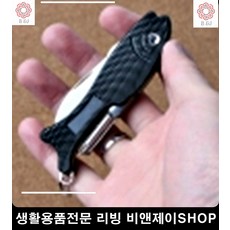 칼반지