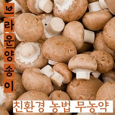 [MC인증00027]친환경 농법 무농약 우리농산물 브라운 양송이 버섯, 1세트, 정품1kg(탁구공사이즈)