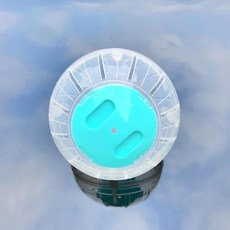 햄스터 러닝머신 플라스틱 둥근 공 작은 동물 애완 달리기 스포츠, 1개, B.Diameter 14.5cm