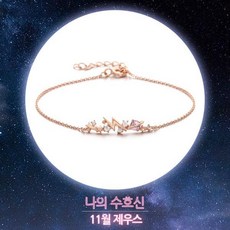 클루 [수호신] 나를 지켜주는 나만의 신 11월 제우스 실버 팔찌 CLBR19A11MPV