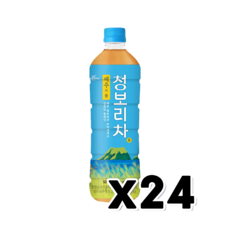 쟈뎅 제주의봄 청보리차 페트음료 500ml x 24개