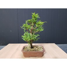 이한우화백