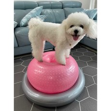  튼튼짐볼 강아지짐볼 강아지튼튼짐볼 짐볼 반려견운동, 링 표면 도넛 핑크 