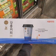 서울우유 서울우유 강릉커피 라떼 250ml x 10개, 단품, 단품