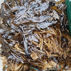 기장미역 생미역 물미역 1kg