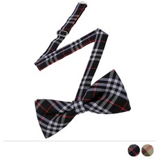 남자어린이보타이