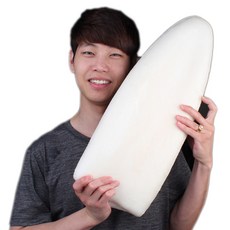 새우몰 손질 대포한치 몸통살 1마리 3.5kg이상 물회 횟감용