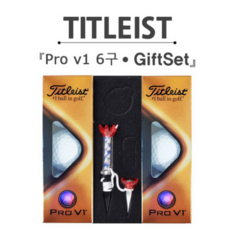  브라더스골프 타이틀리스트 Pro V1 6구 골프공 자석티 선물 세트, FREE 