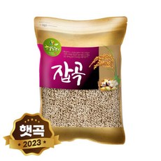 2023년 햇곡 새싹보리 씨앗 4kg 국산 겉보리쌀, 1개