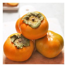 전라도워터파크