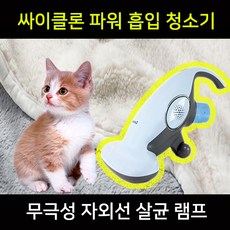 제노시스비비