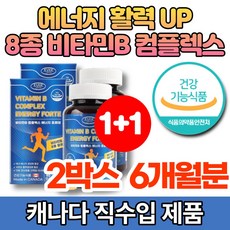 캐나다 코스트코 고함량 수용성 비타민 B 콤플렉스 B1 B2 B6 B12 비군 B군 판톤텐산 엽산 나이아신 비오틴 에너지 활력 영양제, 2개, 90정