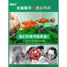 a533a68c1d06366e2bc85aa04249c9e4f99e7631b262fe1fc14a50f4fc7f.jpeg