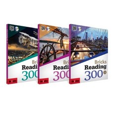 브릭스리딩300