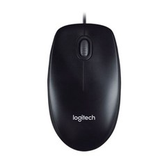 로지텍m100