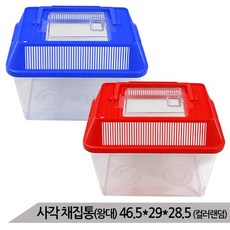 대일 사각 채집통 왕대 /컬러랜덤발송 곤충케이지, 1개