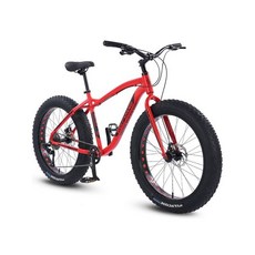 도마스팻바이크