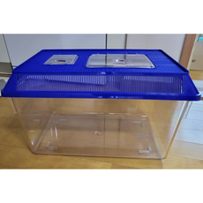와이피 곤충 채집통 2XL, 0 랜덤, 3개