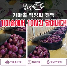 가마솥양파즙