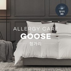알레르망구스솜 TOP01