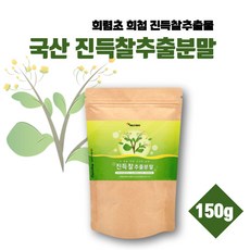 딘토운초