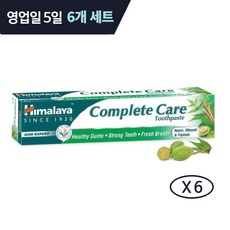 히말라야 컴플리트 케어 치약 150g 6개세트 Complete Care toothpaste 150gX6, 6개