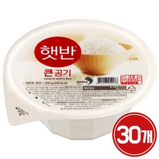 CJ 햇반 큰공기, 300g, 14개