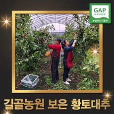 재헌농원 보은대추 1kg 생대추 햇대추, 1kg(26mm)
