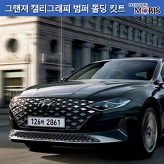 더뉴그랜저센터스피커그릴