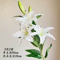 필름카메라현상기