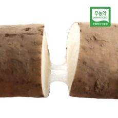 무농약 진주 참마 햇장마 단중품, 1개, 3kg