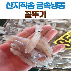 꼴뚜기회