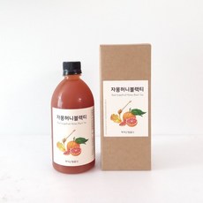 박덕근벌꿀 자허블 리얼 자몽허니블랙티 원액 자몽꿀, 1개, 500ml