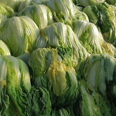d910bc545516c6e82c7e09d648388864c033d644bb71b52cbd1e72252d02.jpg