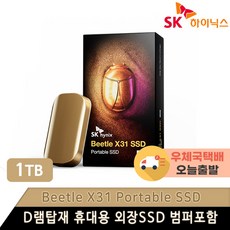 SK하이닉스 Beetle X31 DRAM 탑재 외장 SSD + 전용 케이스, SKHPU3-001T, 1024GB
