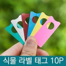 나무네임택