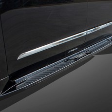 더뉴카니발사이드스텝