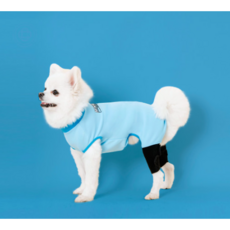 강아지 반려견 슬개골 탈구 예방 수트 기능성 옷 의료기기등록 멍냥키퍼