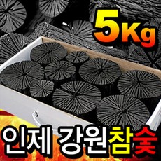 인제 강원참숯 1박스 5kg (원통형 굴참나무 국립산림과학원 임산물