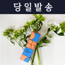 디어토다 오세브 핸드크림 아도라 50ml