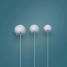 귀파개 깃털 청소 솜털 관리 귀후비개 고급 세트 귀지제거 거위털 11. 은바늘 학깃..., 1개