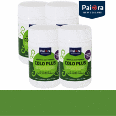 오라맥스플러스