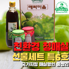 거금도매실