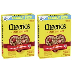 아이리쉬위스키홀그레인