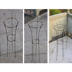 //상품명