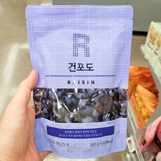 건포도 300g x 2개, 단품, 단품