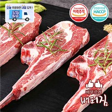 (당일출돼지) 캠핑가자! 숙성 양고기 모음1kg 양사각갈비 2소스, 1개, 냉동 양뼈숄더랙  1Kg